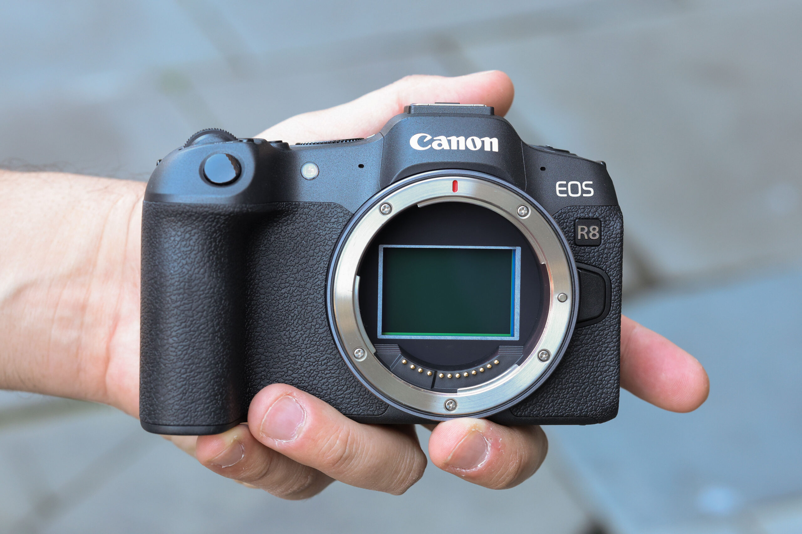 CANON EOS R8 1 Canon EOS R8 sensor