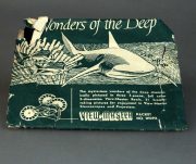 N° 2 DISCHETTI VIEW-MASTER WONDERSOFDEED (PESCI)