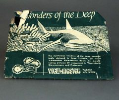 D1972 01 N° 2 DISCHETTI VIEW-MASTER WONDERSOFDEED (PESCI)