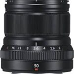 Fuji 30 index 9